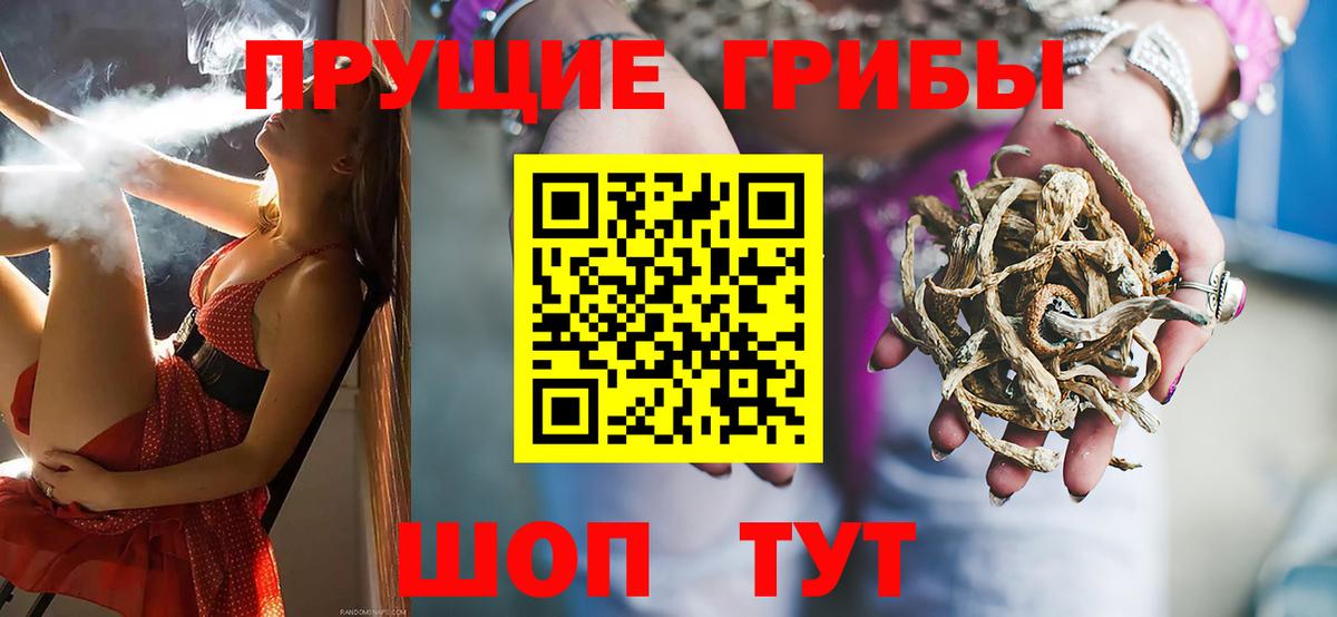 Псилоцибиновые грибы Psilocybe  как найти закладки  Стрежевой  Псилоцибиновые грибы Psilocybine cubensis  Вход с VPN 